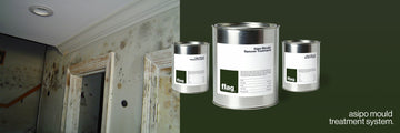 Moisture & Mould Resistant Primers: Protecting Your Home from Dampness and Mould