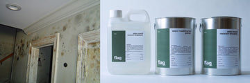 Moisture & Mould Resistant Primers: Protecting Your Home from Dampness and Mould